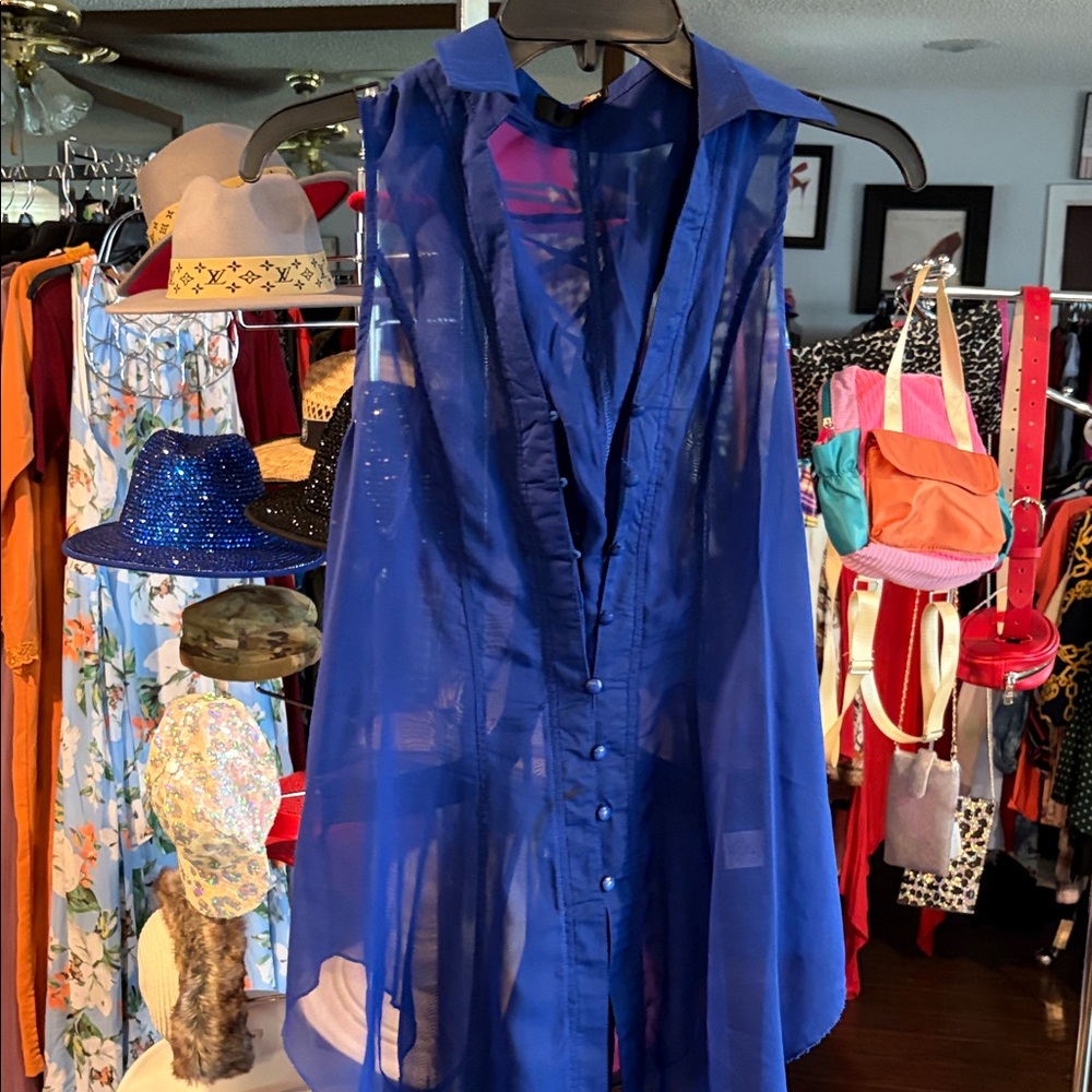 Women's Sheer Blue Top